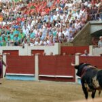 Pontevedra - Corrida de toros mixta - Sorteo - Sábado 11 de agosto de 2018