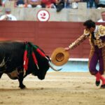 Pontevedra - Corrida de toros mixta - Sorteo - Sábado 11 de agosto de 2018