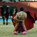 Pontevedra - Corrida de toros mixta - Sorteo - Sábado 11 de agosto de 2018