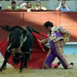 Pontevedra - Corrida de toros mixta - Sorteo - Sábado 11 de agosto de 2018