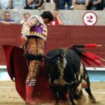 Pontevedra - Corrida de toros mixta - Sorteo - Sábado 11 de agosto de 2018
