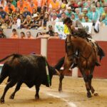 Pontevedra - Corrida de toros mixta - Sorteo - Sábado 11 de agosto de 2018