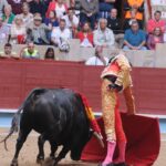 Pontevedra - Corrida de toros - Domingo 12 de agosto de 2018