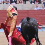 Pontevedra - Corrida de toros - Domingo 12 de agosto de 2018