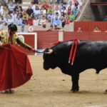 Pontevedra - Corrida de toros - Domingo 12 de agosto de 2018