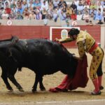 Pontevedra - Corrida de toros - Domingo 12 de agosto de 2018