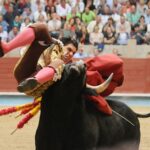Pontevedra - Corrida de toros - Domingo 12 de agosto de 2018