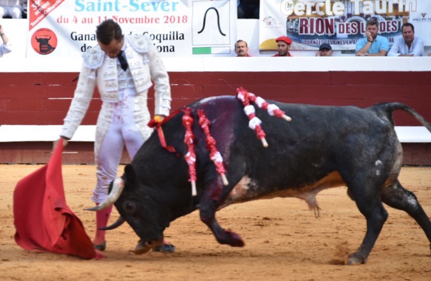 Dax (Francia). Martes, 14 de agosto de 2018. Toros de distintas ganaderías para Juan Bautista