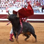 Dax (Francia). Martes, 14 de agosto de 2018. Toros de distintas ganaderías para Juan Bautista