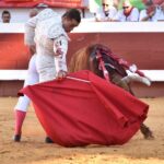 Dax (Francia). Martes, 14 de agosto de 2018. Toros de distintas ganaderías para Juan Bautista
