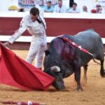 Dax (Francia). Martes, 14 de agosto de 2018. Toros de distintas ganaderías para Juan Bautista