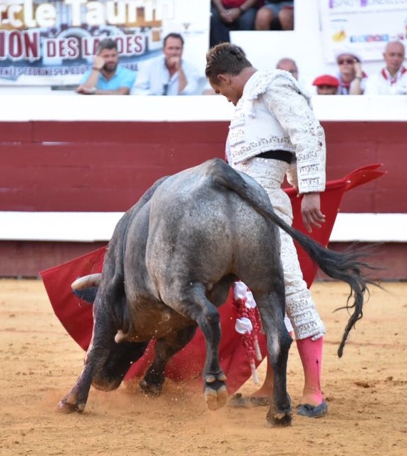 Dax (Francia). Martes, 14 de agosto de 2018. Toros de distintas ganaderías para Juan Bautista