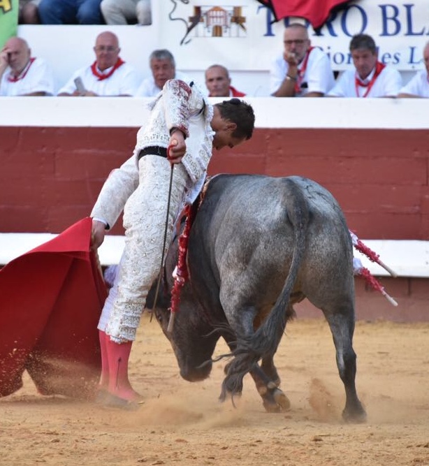 Dax (Francia). Martes, 14 de agosto de 2018. Toros de distintas ganaderías para Juan Bautista