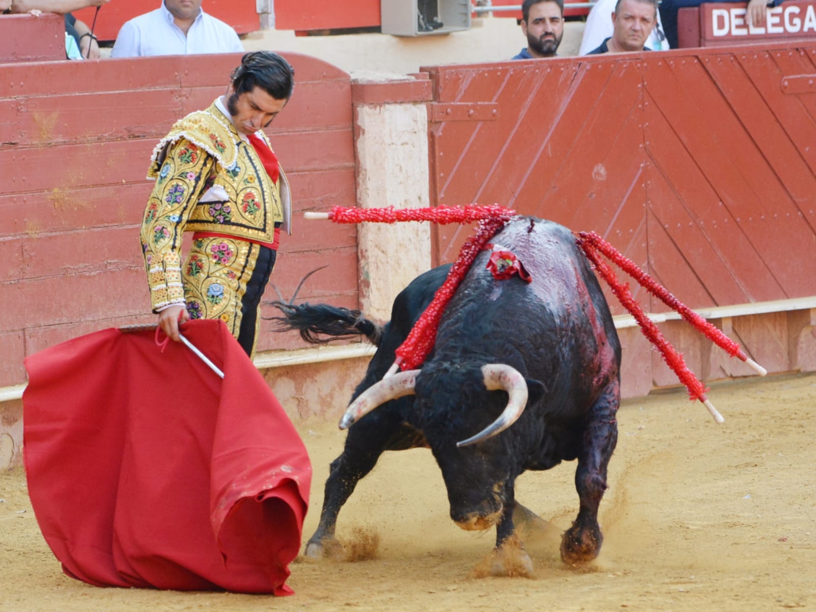 Almeria - Corrida de toros - viernes 24 de agosto de 2018