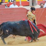 Almeria - Corrida de toros - viernes 24 de agosto de 2018