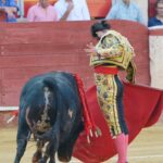 Almeria - Corrida de toros - viernes 24 de agosto de 2018