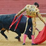 Almeria - Corrida de toros - viernes 24 de agosto de 2018