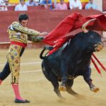 Almeria - Corrida de toros - viernes 24 de agosto de 2018