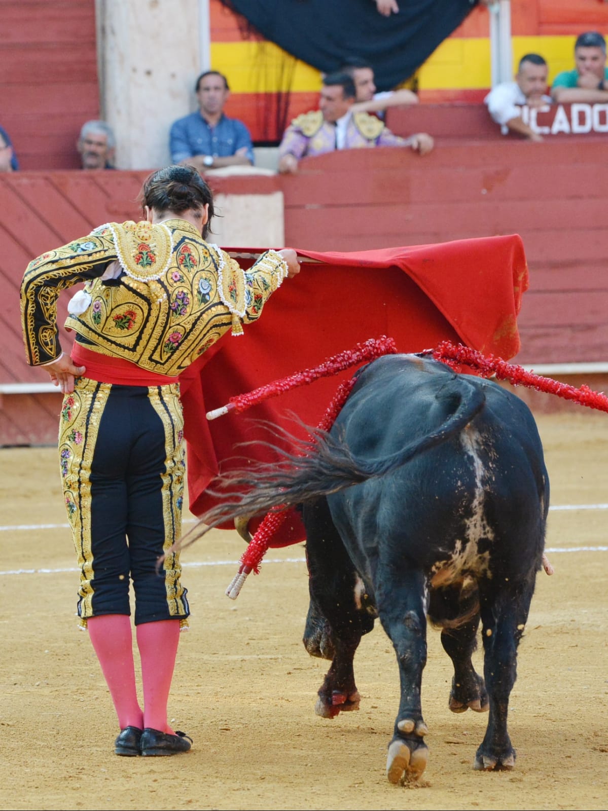 Almeria - Corrida de toros - viernes 24 de agosto de 2018