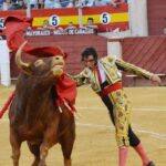 Almeria - Corrida de toros - viernes 24 de agosto de 2018
