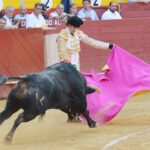 Almeria - Corrida de toros - viernes 24 de agosto de 2018