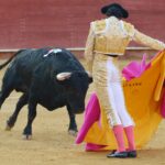 Almeria - Corrida de toros - viernes 24 de agosto de 2018