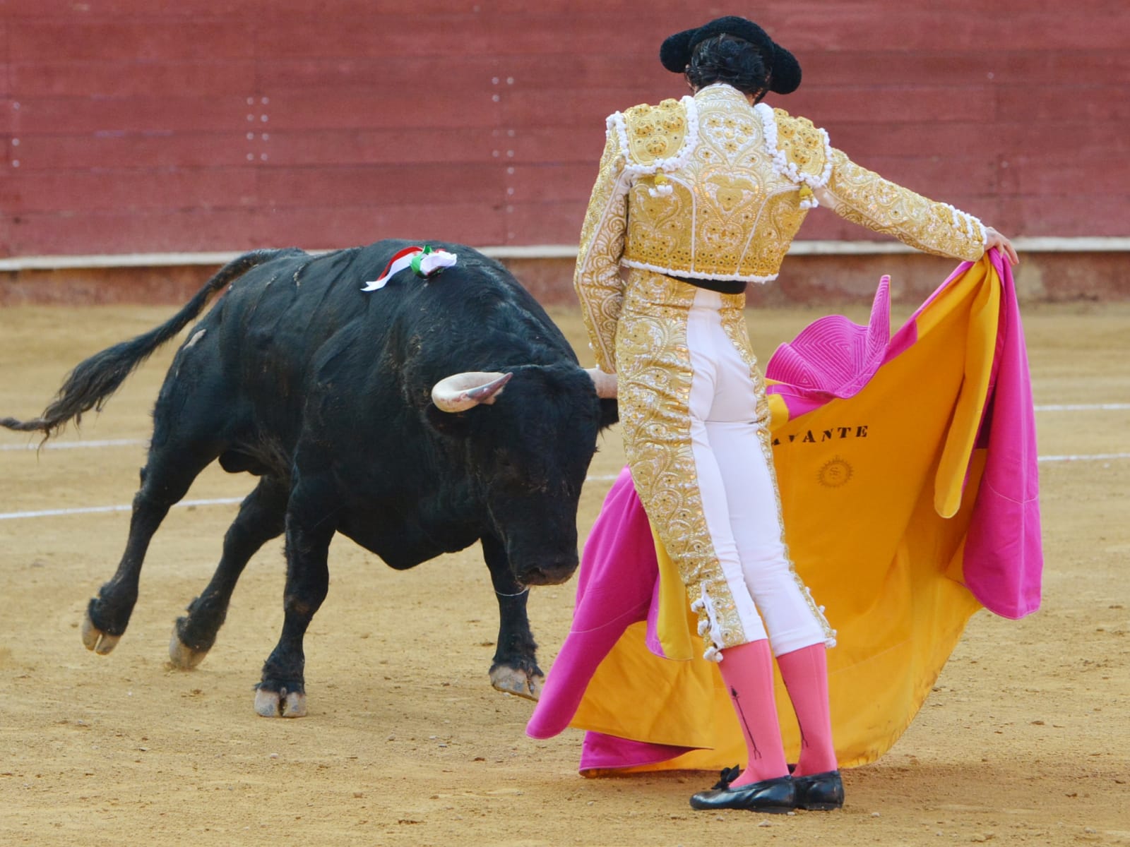 Almeria - Corrida de toros - viernes 24 de agosto de 2018