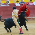 Almeria - Corrida de toros - viernes 24 de agosto de 2018
