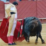 Almeria - Corrida de toros - viernes 24 de agosto de 2018