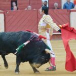 Almeria - Corrida de toros - viernes 24 de agosto de 2018