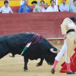 Almeria - Corrida de toros - viernes 24 de agosto de 2018