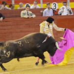 Almeria - Corrida de toros - viernes 24 de agosto de 2018