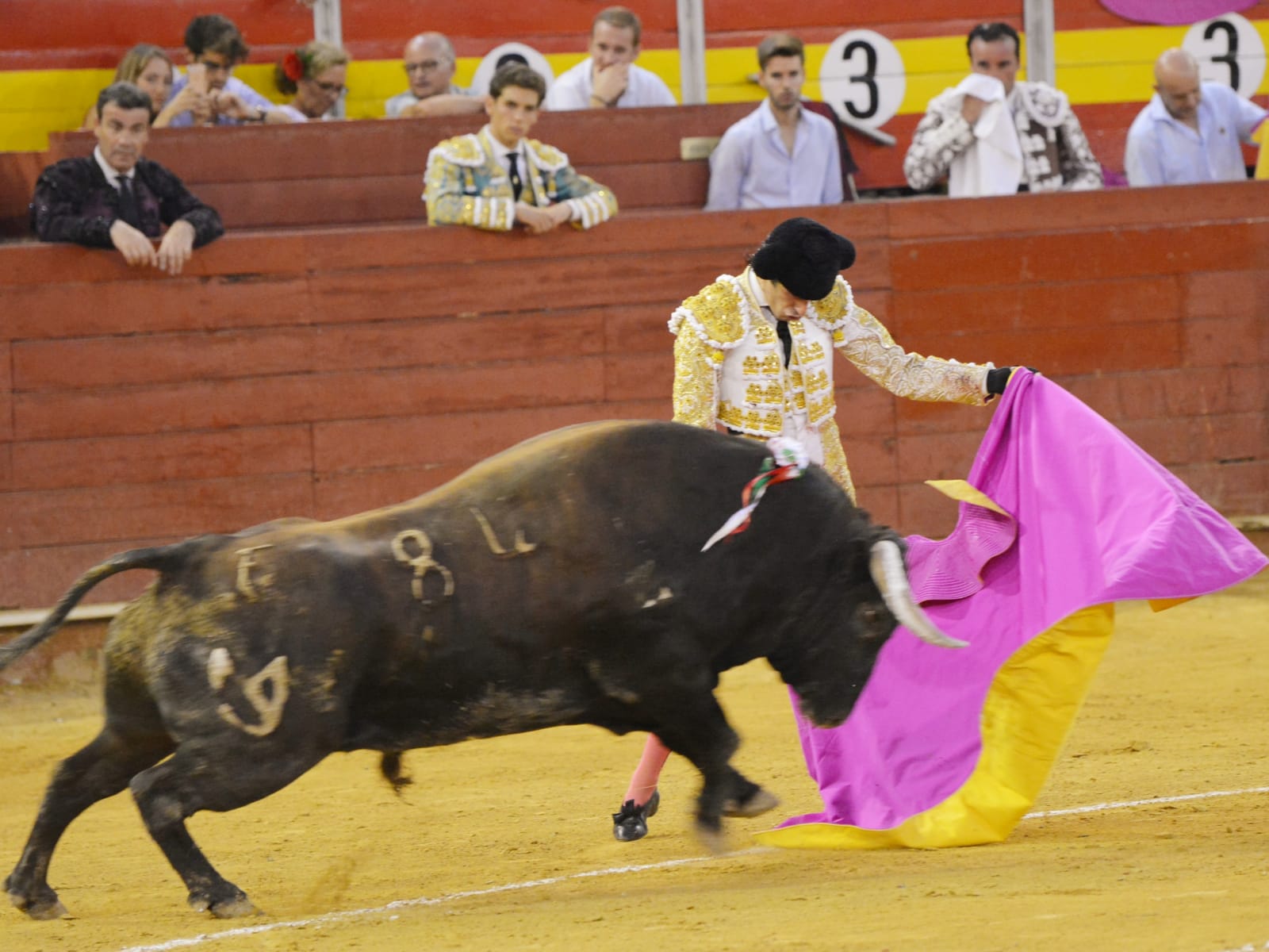 Almeria - Corrida de toros - viernes 24 de agosto de 2018
