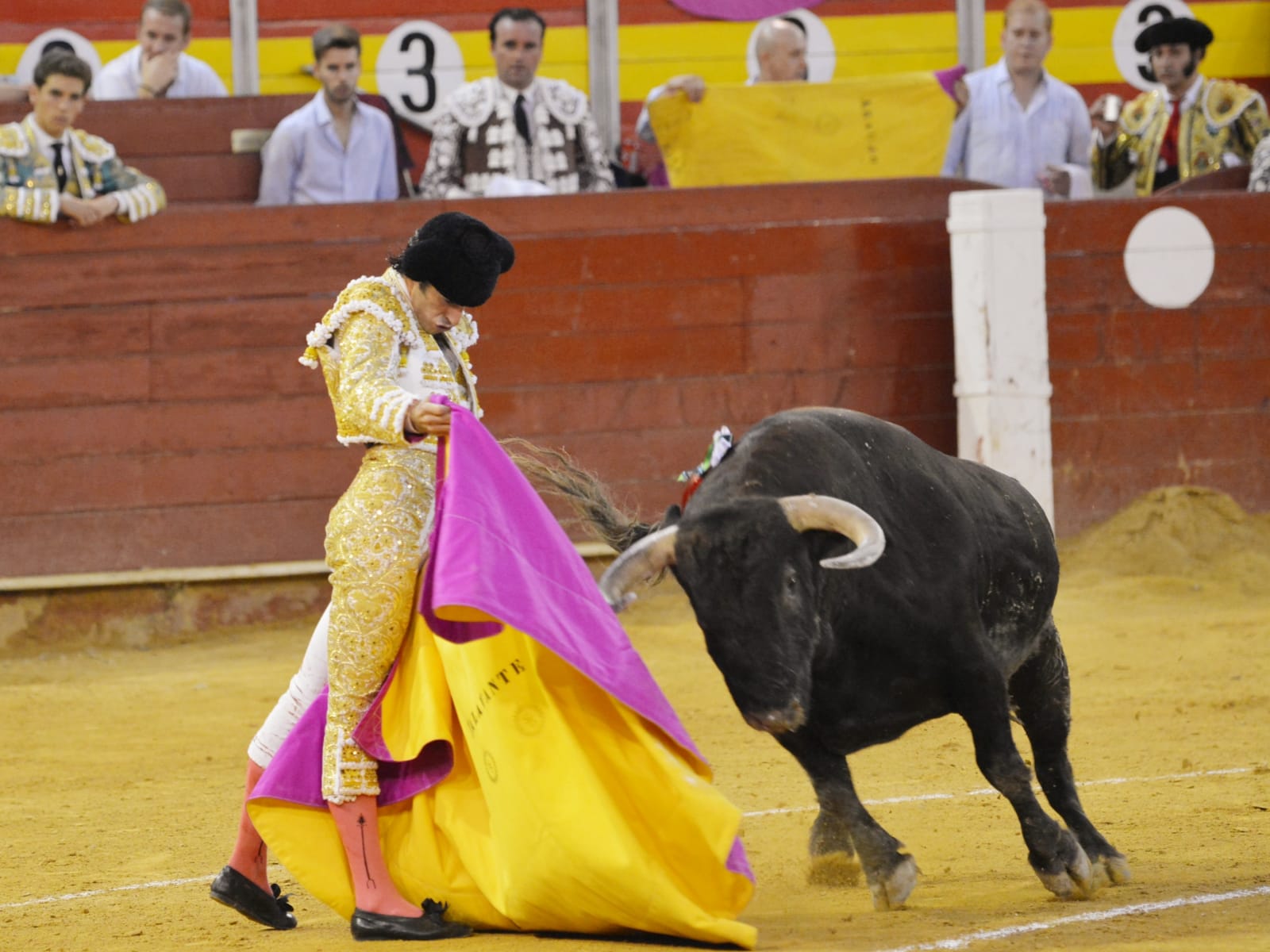 Almeria - Corrida de toros - viernes 24 de agosto de 2018