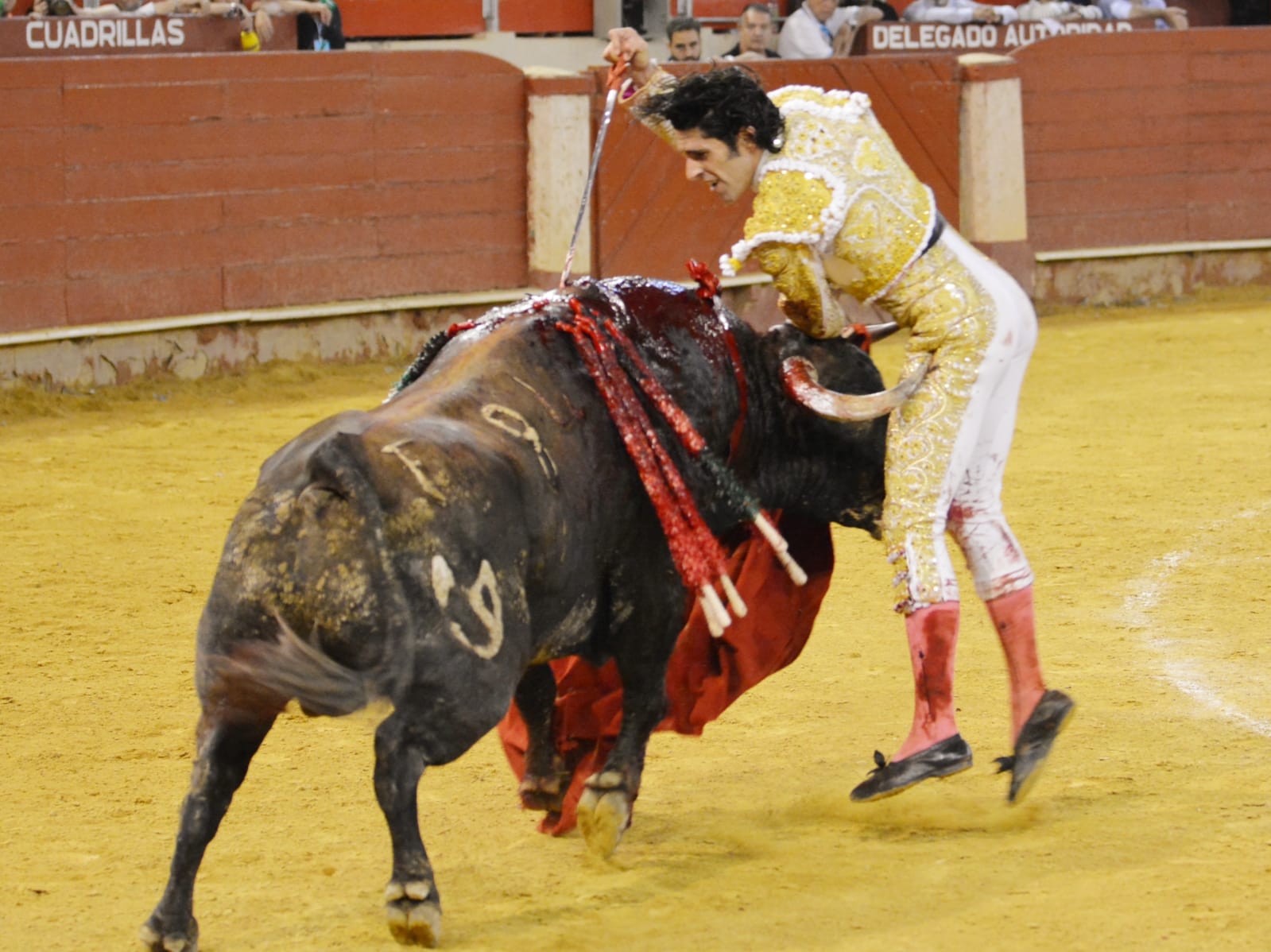 Almeria - Corrida de toros - viernes 24 de agosto de 2018