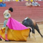 Almería - Corrida de toros - Viernes 24 d agosto de 2018