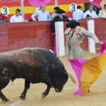 Almería - Corrida de toros - Viernes 24 d agosto de 2018
