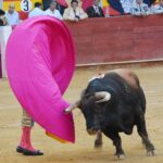 Almería - Corrida de toros - Viernes 24 d agosto de 2018