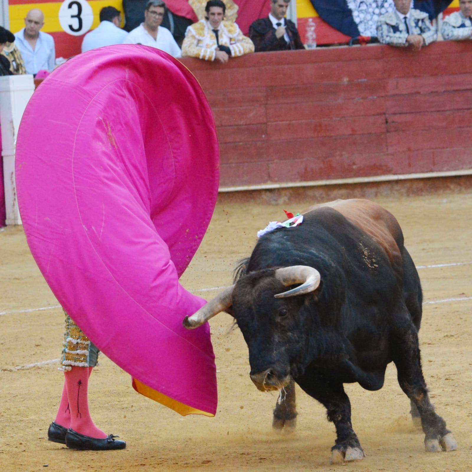 Almería - Corrida de toros - Viernes 24 d agosto de 2018