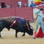 Almería - Corrida de toros - Viernes 24 d agosto de 2018