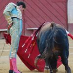 Almería - Corrida de toros - Viernes 24 d agosto de 2018