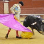 Almería - Corrida de toros - Viernes 24 d agosto de 2018