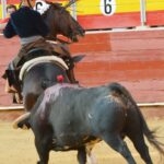 Almería, 25 de agosto de 2018