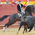 Almería, 25 de agosto de 2018