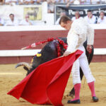 Dax (Francia). Martes, 14 de agosto de 2018. Toros de distintas ganaderías para Juan Bautista