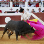 Dax (Francia). Martes, 14 de agosto de 2018. Toros de distintas ganaderías para Juan Bautista