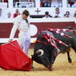 Dax (Francia). Martes, 14 de agosto de 2018. Toros de distintas ganaderías para Juan Bautista