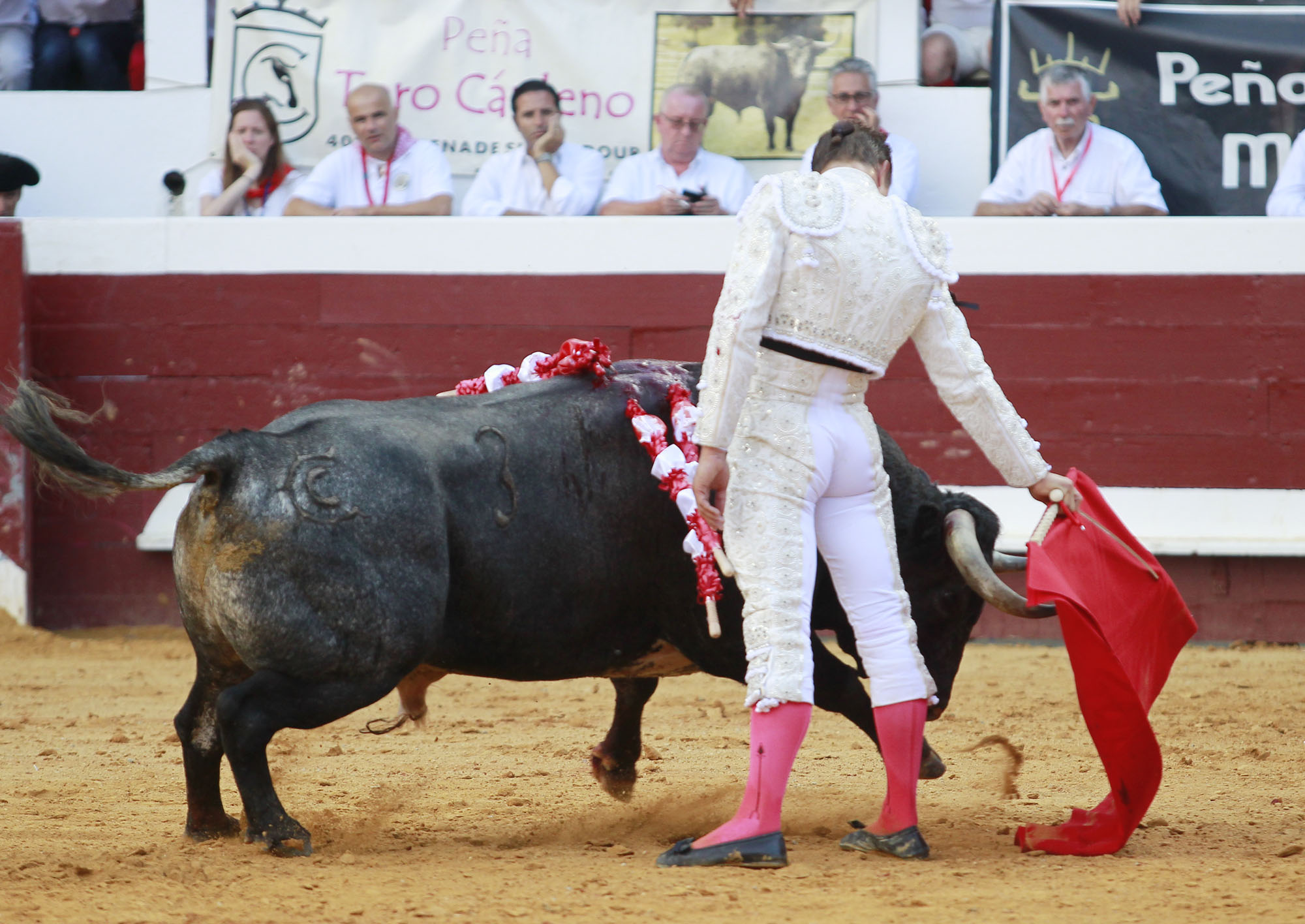 Dax (Francia). Martes, 14 de agosto de 2018. Toros de distintas ganaderías para Juan Bautista