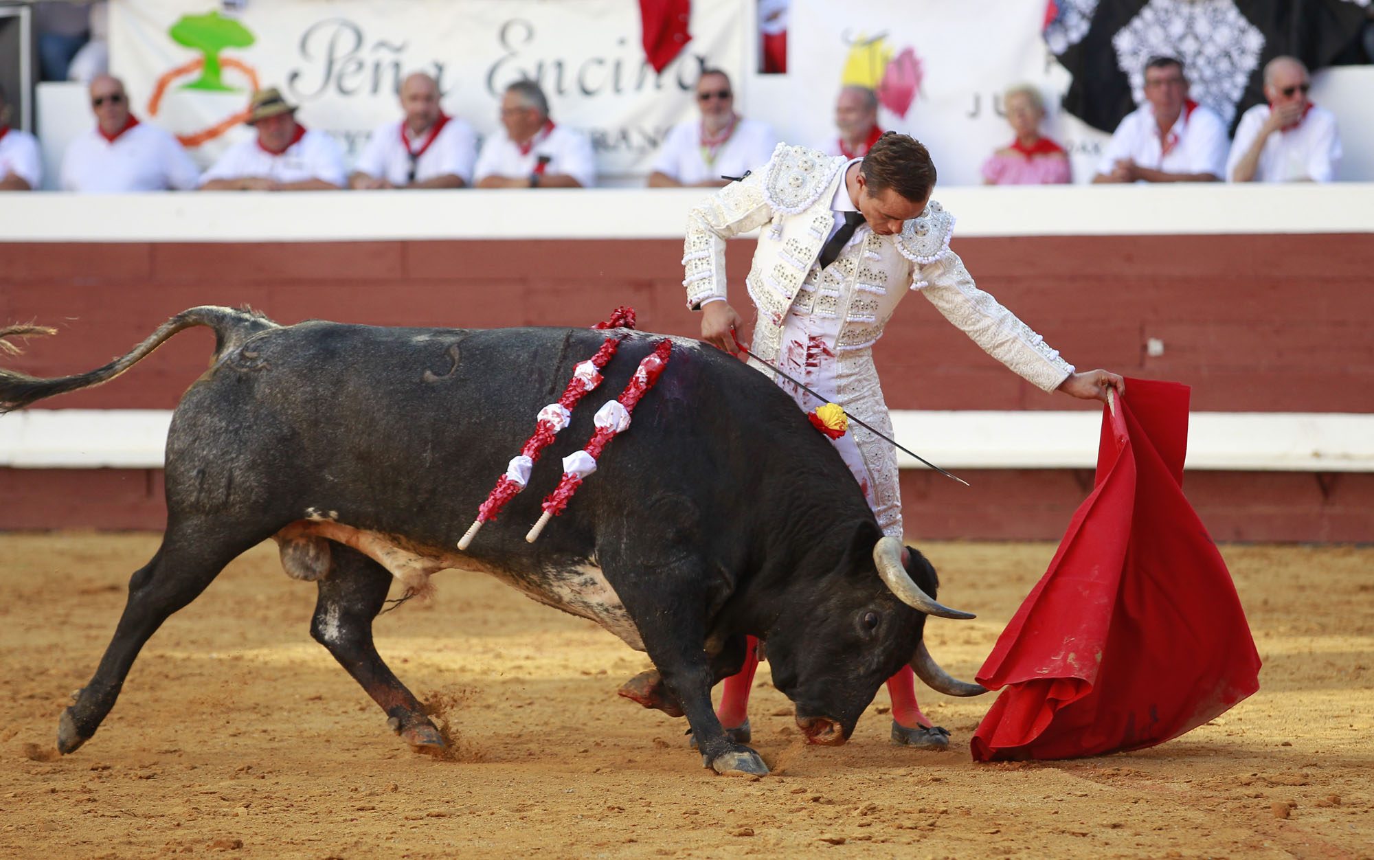 Dax (Francia). Martes, 14 de agosto de 2018. Toros de distintas ganaderías para Juan Bautista