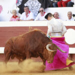 Dax (Francia). Martes, 14 de agosto de 2018. Toros de distintas ganaderías para Juan Bautista